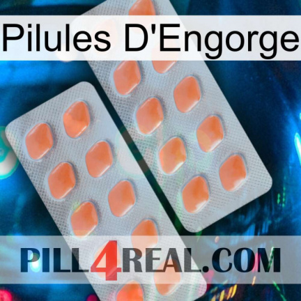 Engorge Pills 27